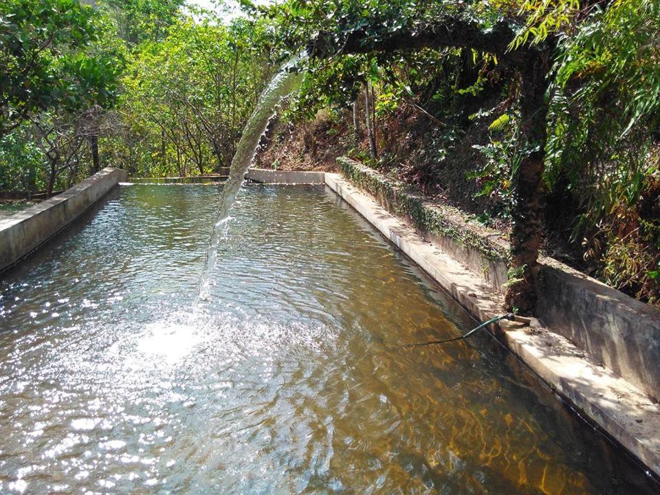 Fazenda Hotel Bem Ecologico Planaltina  Extérieur photo